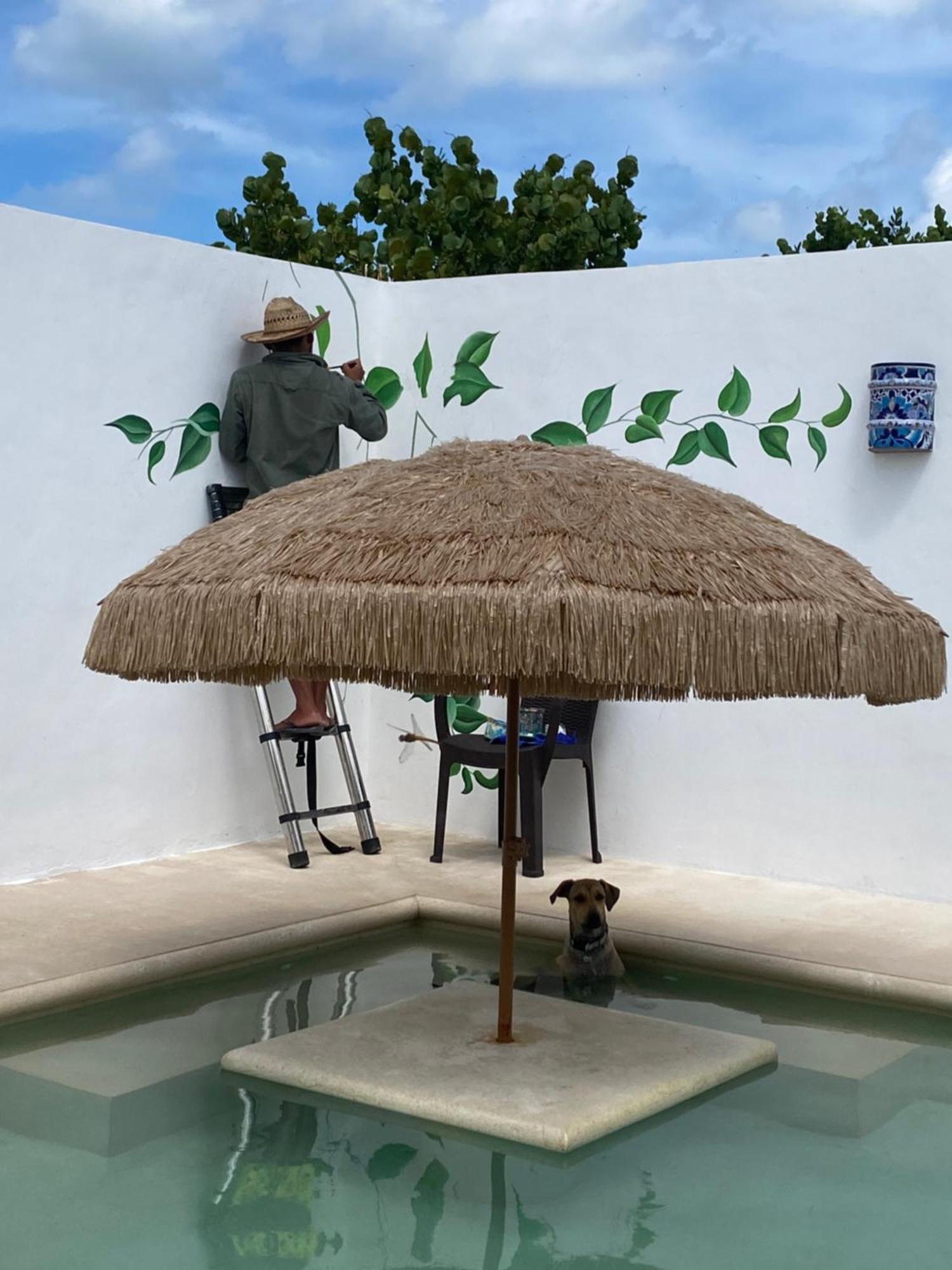 Casa Loto B Apartment Chelem Bagian luar foto