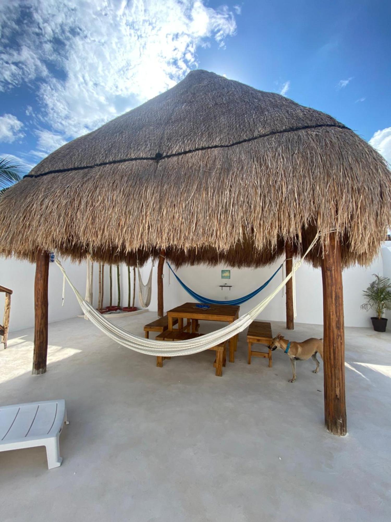 Casa Loto B Apartment Chelem Bagian luar foto