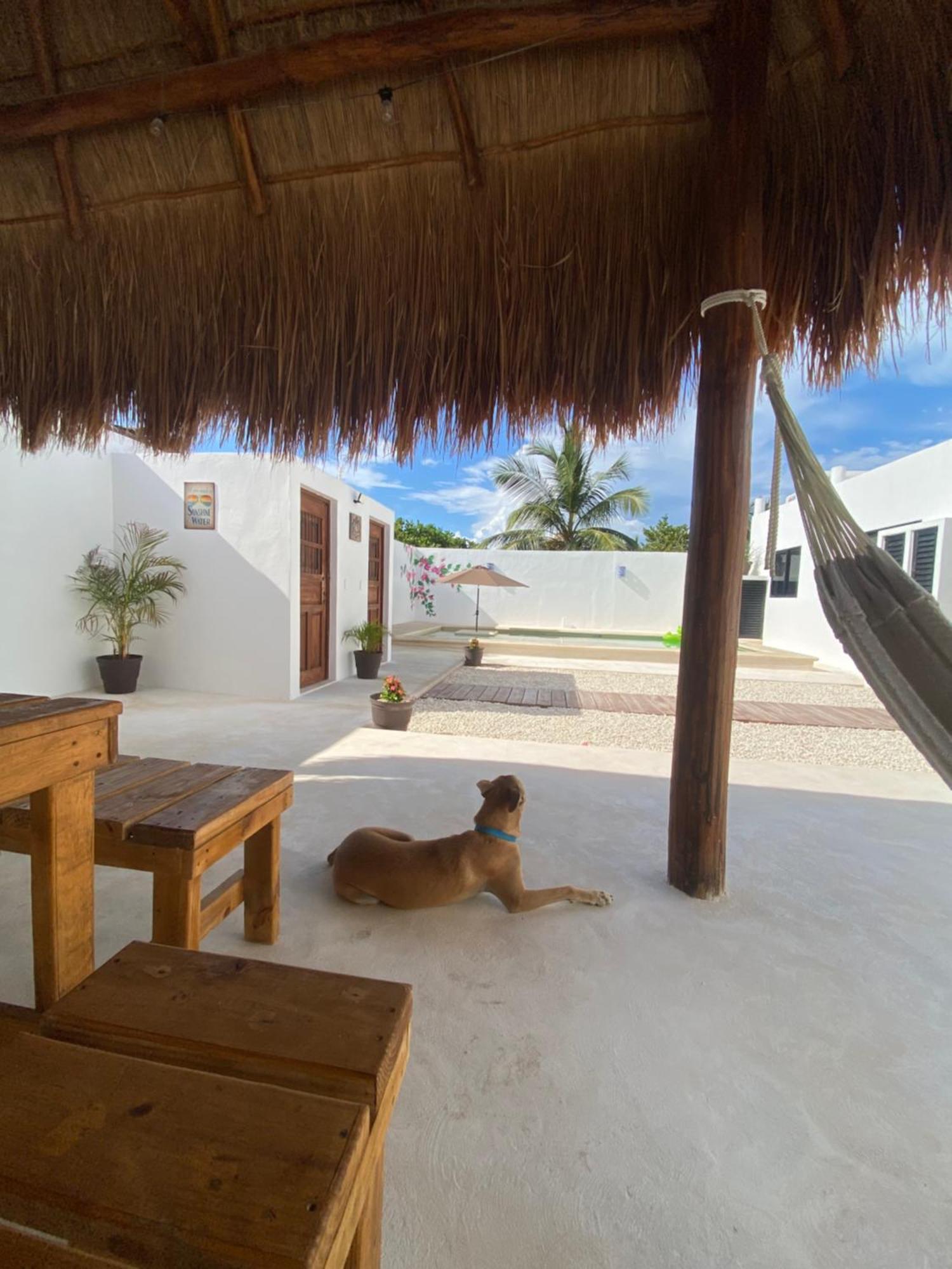 Casa Loto B Apartment Chelem Bagian luar foto